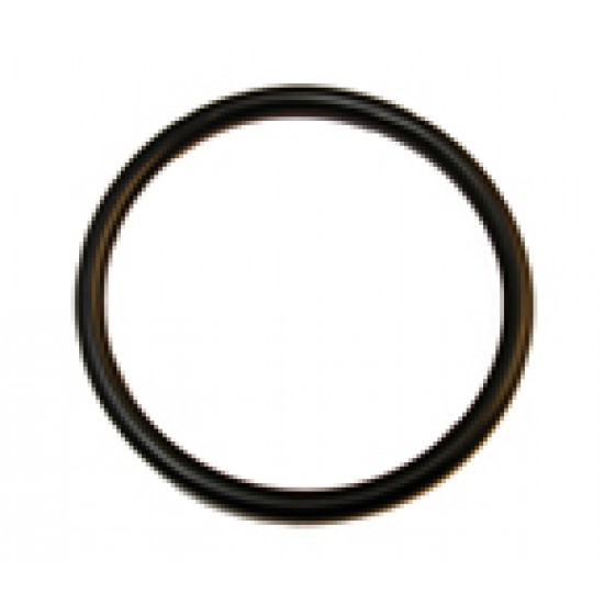 Corney Lid Gasket